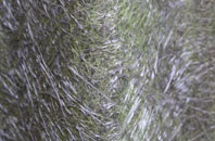 Kings Pyon fibreglass roof work